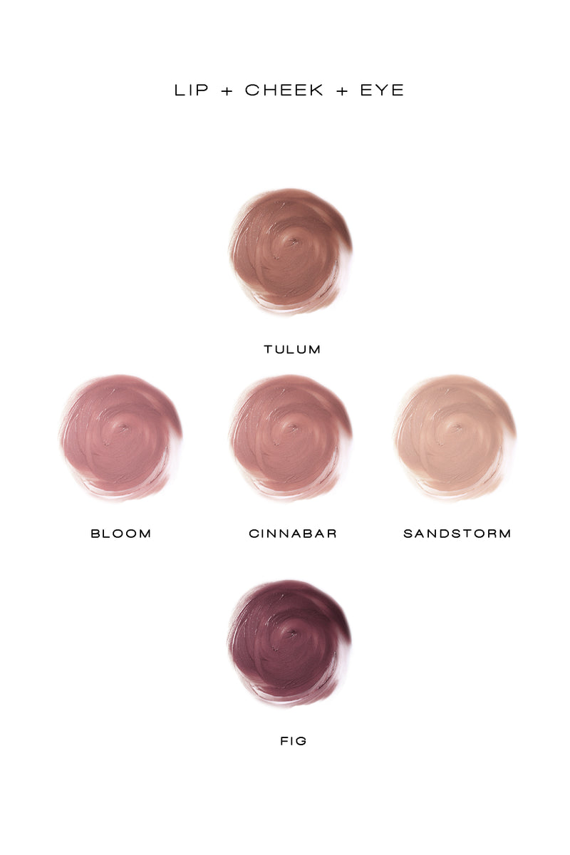 MULTI TYNT - LIP+CHEEK+EYE - FIG